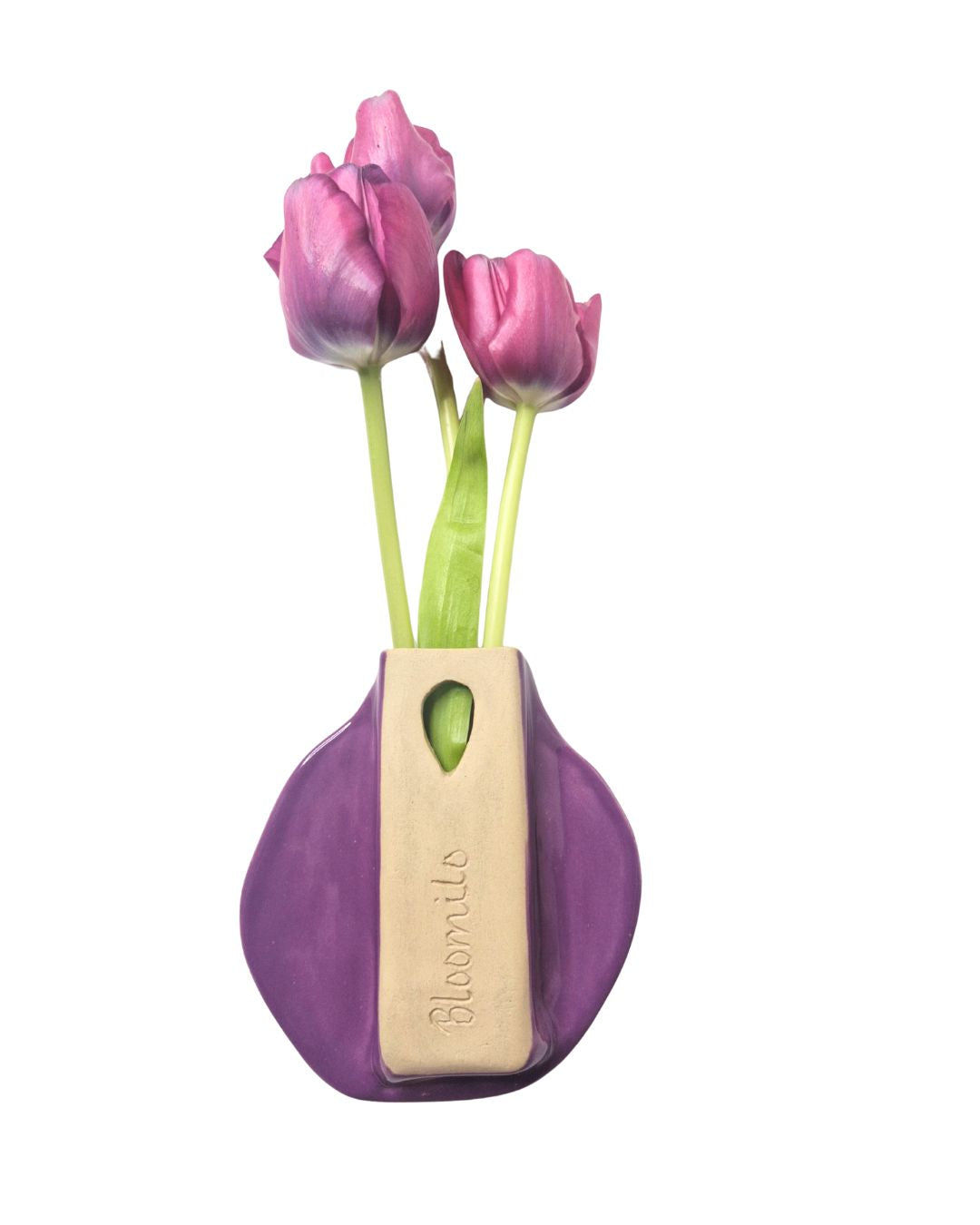 Wall Vase Velvet Aster