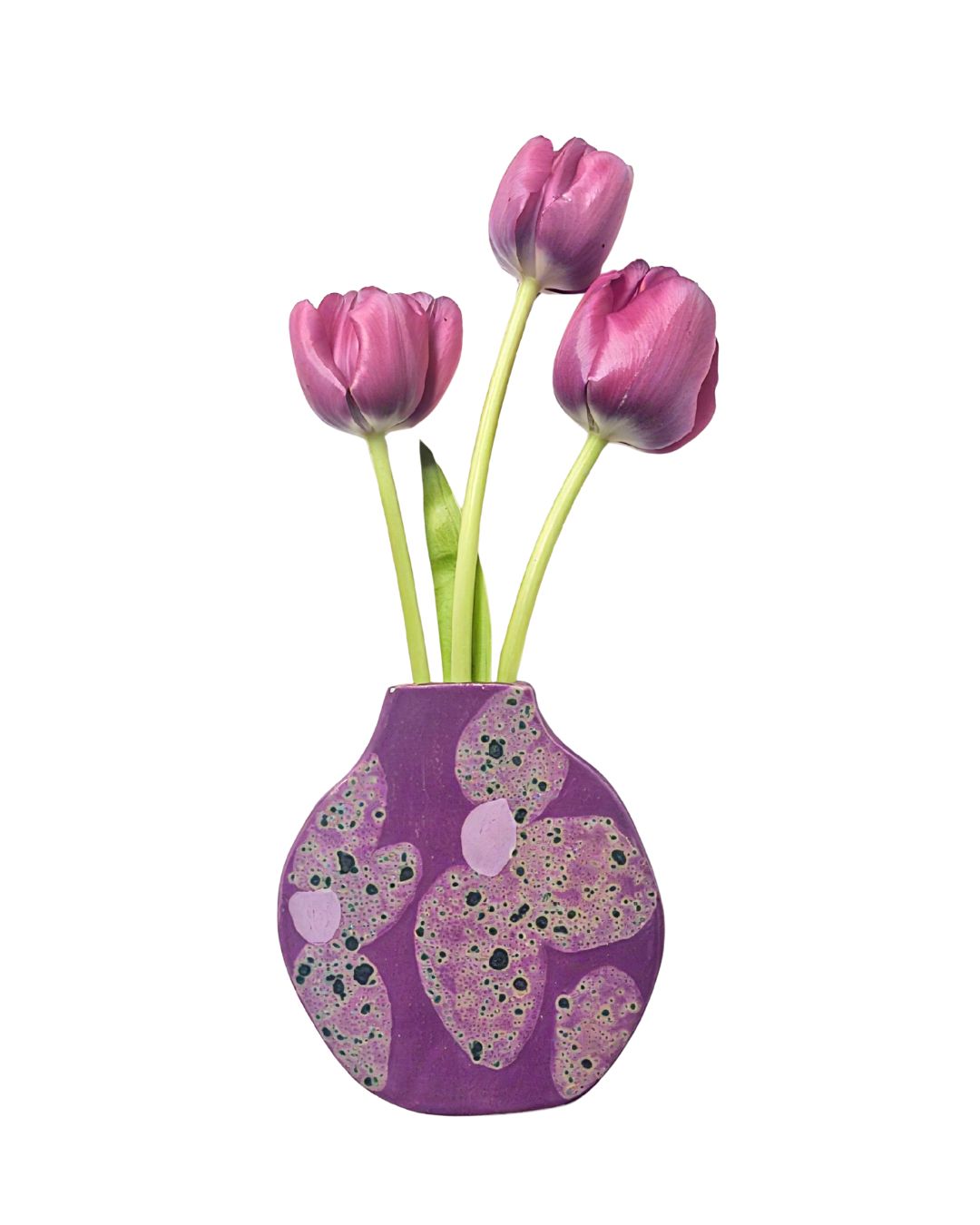 Wall Vase Velvet Aster